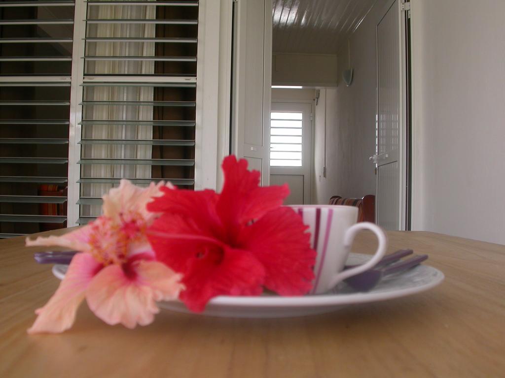 Vila Maison De Vacances A St Anne Martinique Sainte-Anne Exteriér fotografie